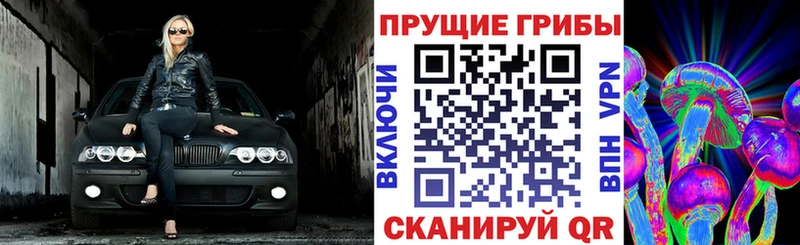 omg зеркало  где можно купить   shop какой сайт  Галлюциногенные грибы Magic Shrooms  Йошкар-Ола 